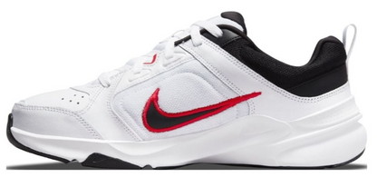 ZAPATILLAS NIKE PARA HOMBRE DEFYALLDAY